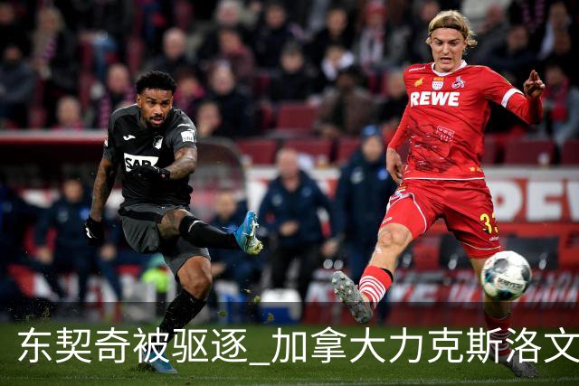 东契奇被驱逐 加拿大力克斯洛文尼亚晋级四强