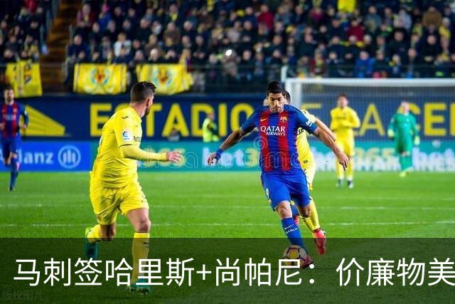 马刺签哈里斯+尚帕尼：价廉物美